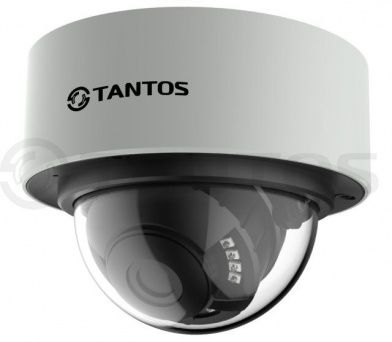 IP видеокамера Tantos TSi-Dn236FP (3.6)